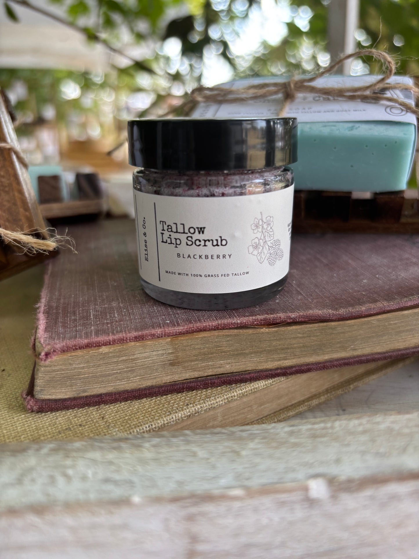 Tallow Sugar Lip Scrub - BlackBerry